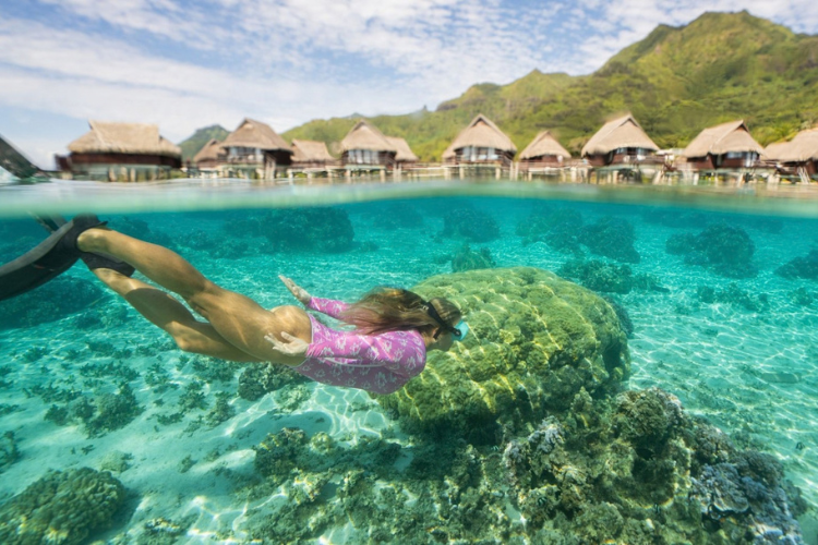 Retreat in Moorea - 