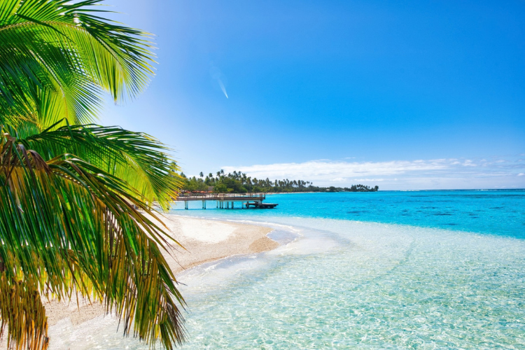 Retreat in Moorea - 