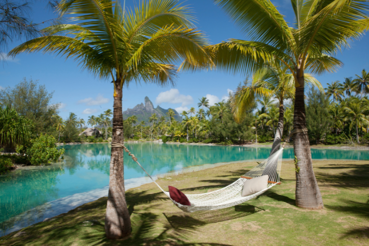 Of Coconut and Papaya Flavors - 