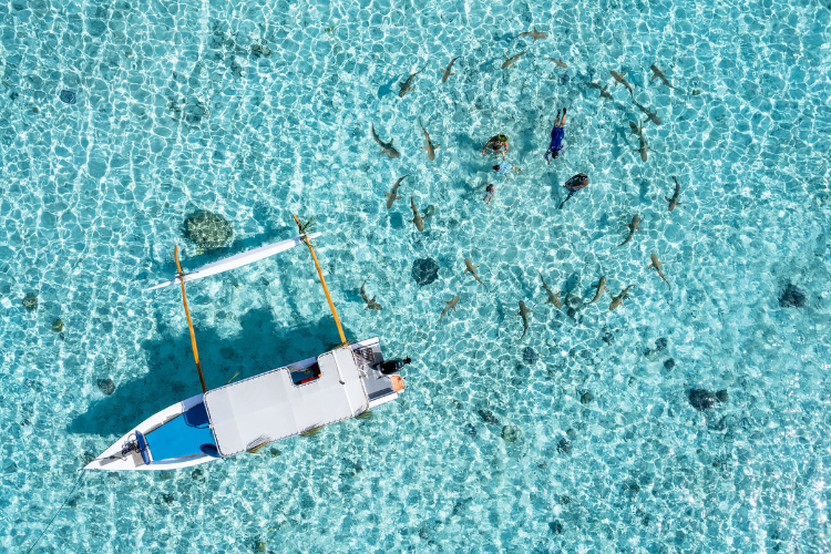 Polynesian Iconic Escapes - 