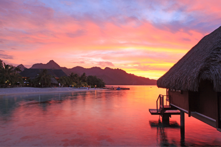 Luxury Retreat of a Special Kind - 