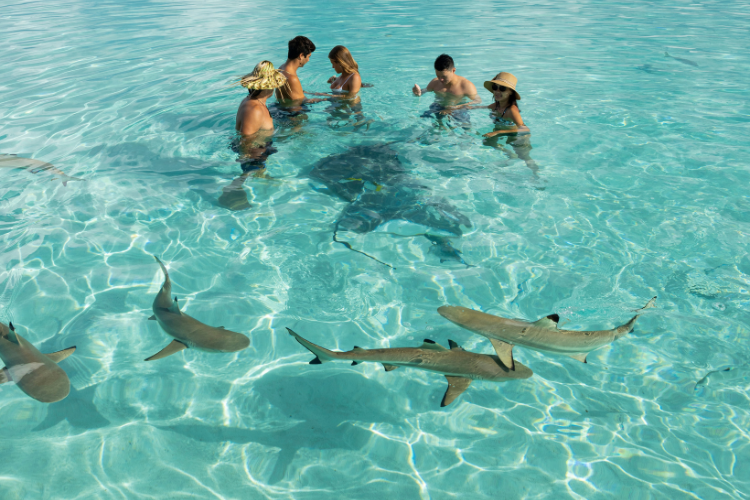 Paradise on a Budget - 