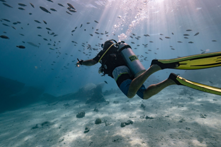 Underwater Wonders - 