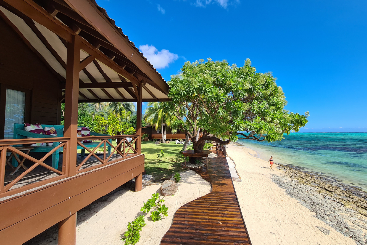Island Cocoon - 