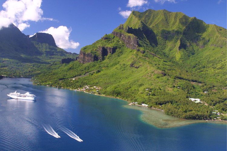 Island Cocoon - 