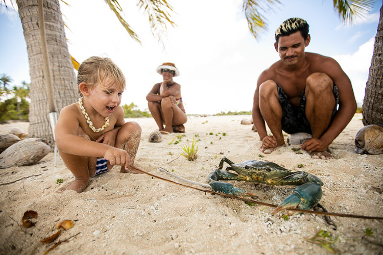 Island Cocoon - 