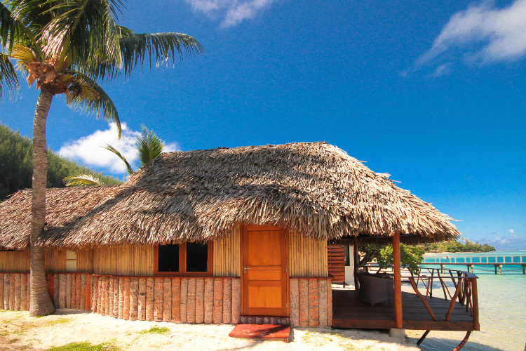 Oases of green and lagoons of blue - 
