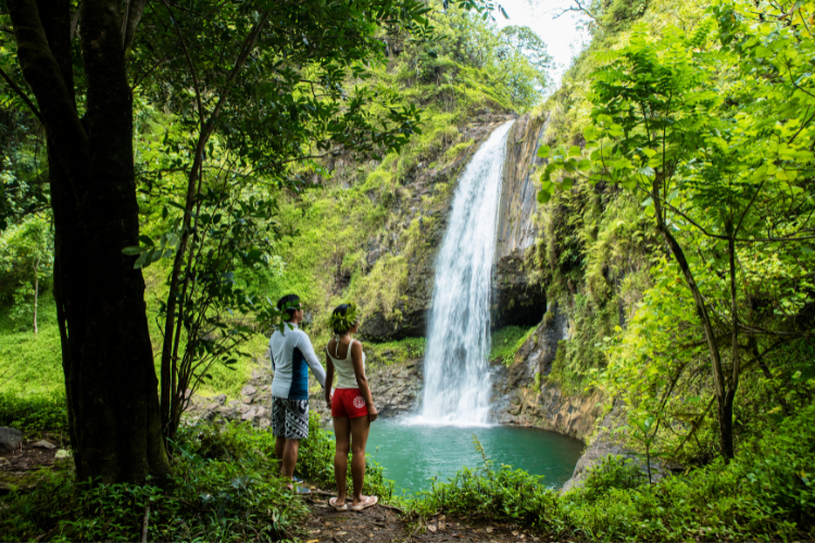 Oases of green and lagoons of blue - 