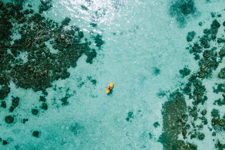 Oases of green and lagoons of blue - 