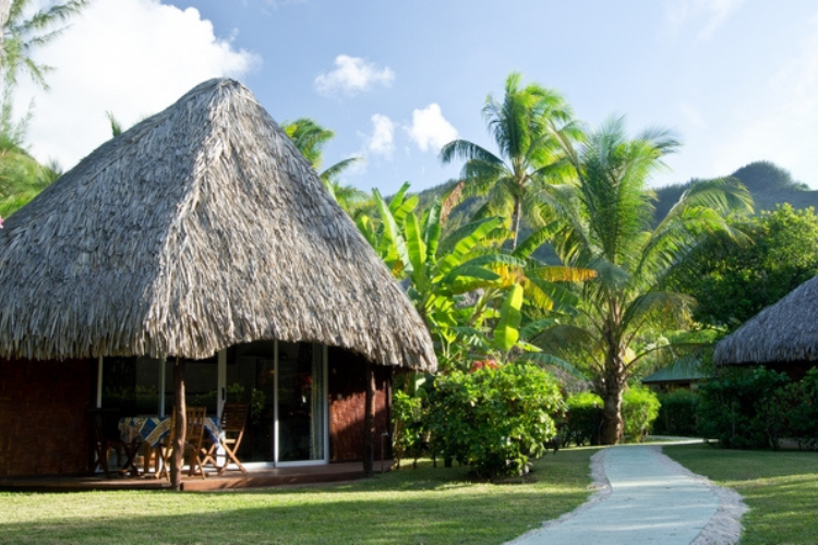 Moorea in all simplicity - Hotel Les Tipaniers