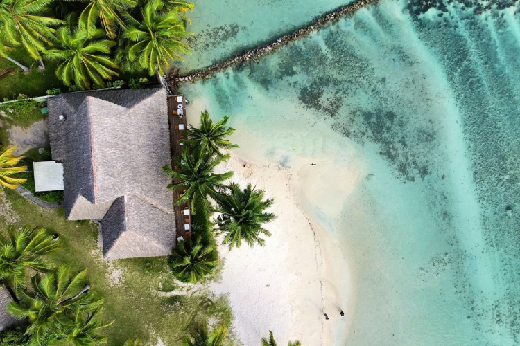 Moorea in all simplicity - Hotel Les Tipaniers