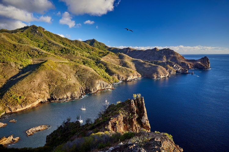 A new way to explore with Le Jacques-Cartier - 